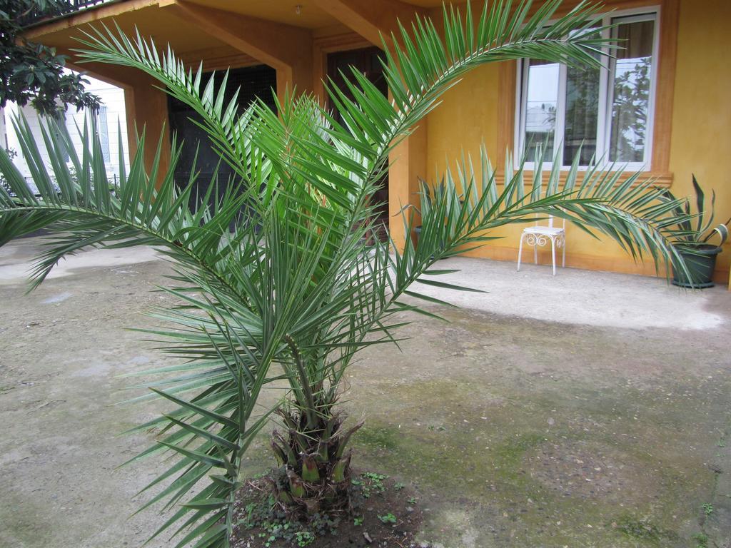 Suliko Guest House บาทูมิ ภายนอก รูปภาพ