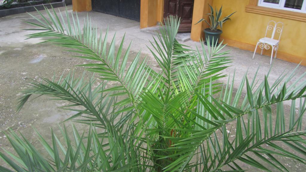 Suliko Guest House บาทูมิ ภายนอก รูปภาพ
